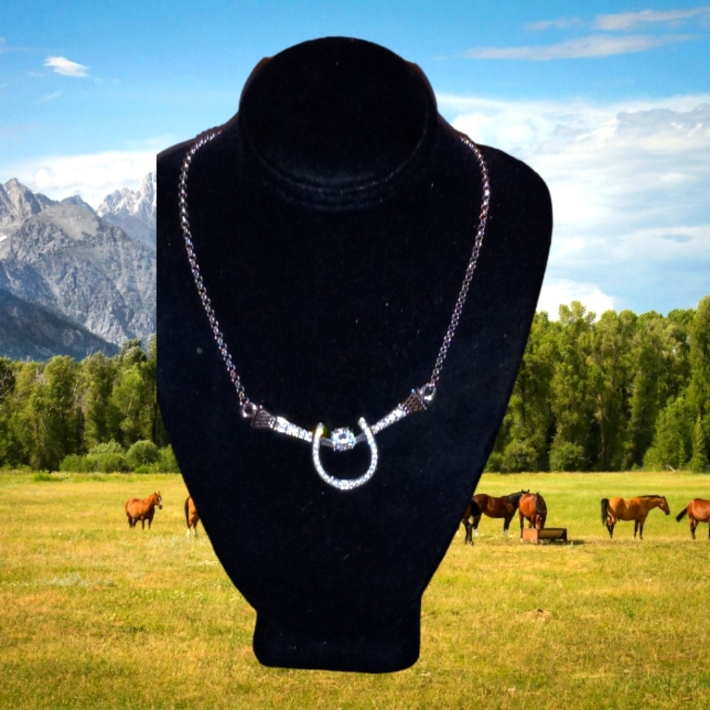 F-007 Horseshoe Silver tone Necklace